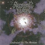 Autumn Leaves - Embraced by the Absolute